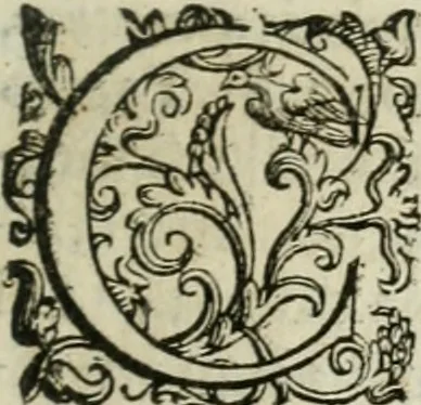 An illustration from Discorsi del signor Scipione Ammirato sopra Cornelio Tacito, 1607, leaf 212