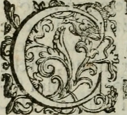 An illustration from Discorsi del signor Scipione Ammirato sopra Cornelio Tacito, 1607, leaf 325