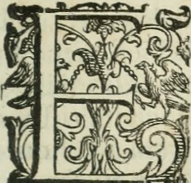 An illustration from Discorsi del signor Scipione Ammirato sopra Cornelio Tacito, 1607, leaf 372