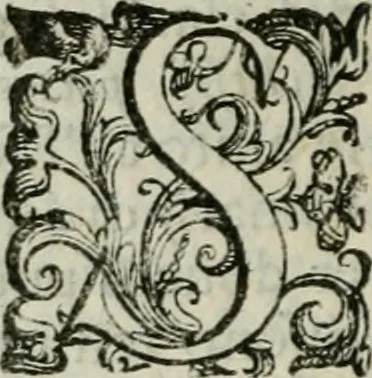 An illustration from Discorsi del signor Scipione Ammirato sopra Cornelio Tacito, 1607, leaf 383