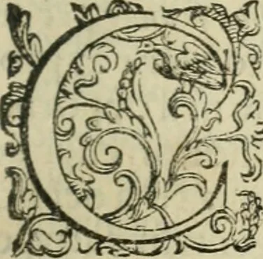 An illustration from Discorsi del signor Scipione Ammirato sopra Cornelio Tacito, 1607, leaf 426