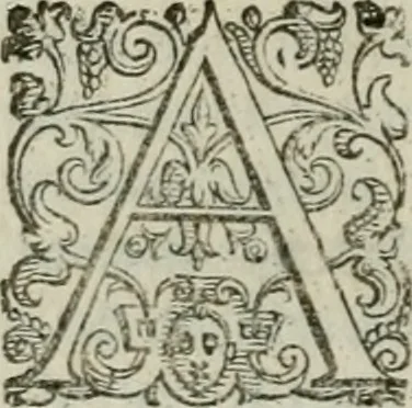 An illustration from Discorsi del signor Scipione Ammirato sopra Cornelio Tacito, 1607, leaf 467