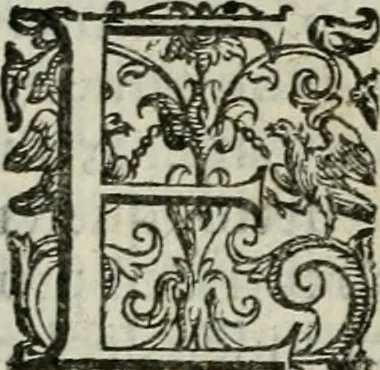 An illustration from Discorsi del signor Scipione Ammirato sopra Cornelio Tacito, 1607, leaf 503