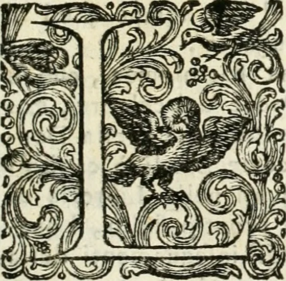 An illustration from Discorsi di architettura del senatore Giovan Batista Nelli : con la vita del medesimo ... : e du ragionamenti sopra le cupole, 1753, leaf 10