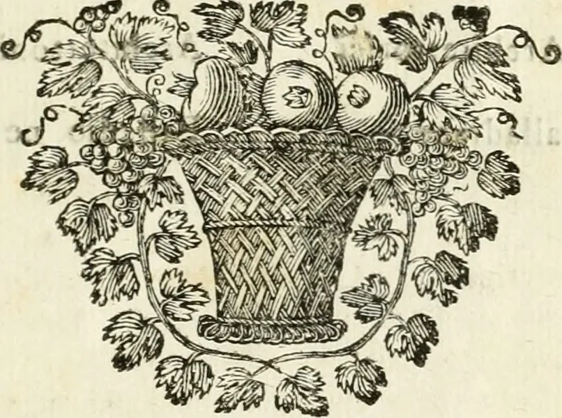 An illustration from Discorsi di architettura del senatore Giovan Batista Nelli : con la vita del medesimo ... : e du ragionamenti sopra le cupole, 1753, leaf 112