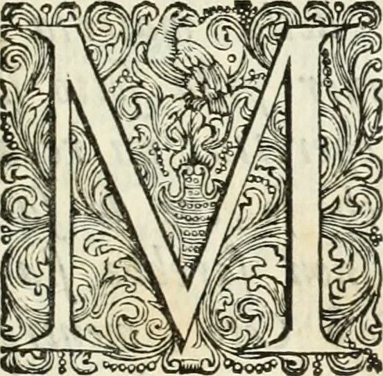 An illustration from Discorsi di architettura del senatore Giovan Batista Nelli : con la vita del medesimo ... : e du ragionamenti sopra le cupole, 1753, leaf 4