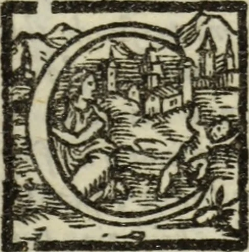 An illustration from Discorsi di Nicolo Machiavelli fiorentino, sopra la prima deca di Tito Livio, 1554, leaf 36