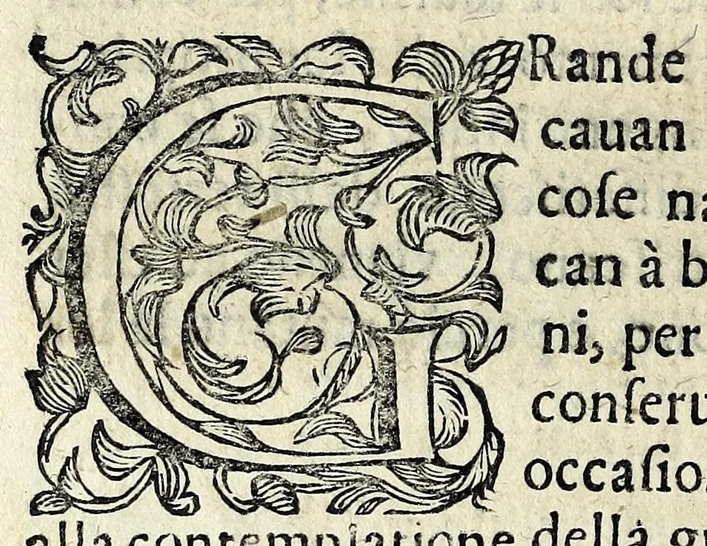 An illustration from Discorsi intorno a diverse cose natvrali, 1628, leaf 22