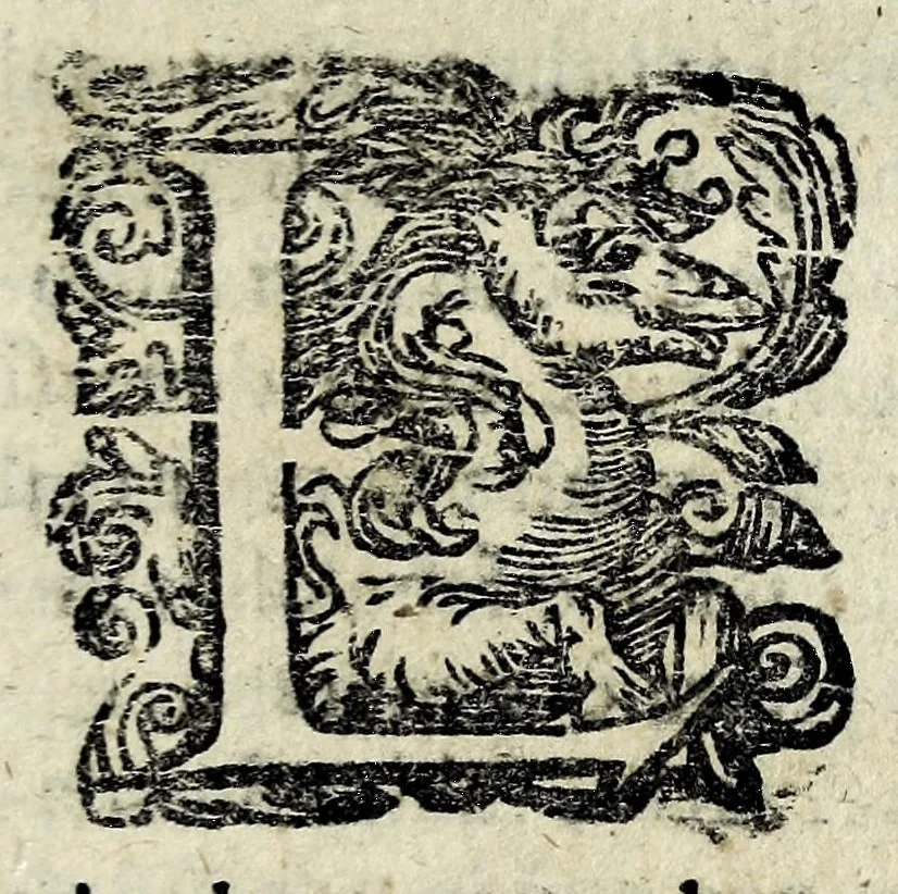 An illustration from Discorsi intorno a diverse cose natvrali, 1628, leaf 39