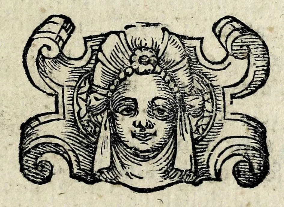 An illustration from Discorsi intorno a diverse cose natvrali, 1628, leaf 43