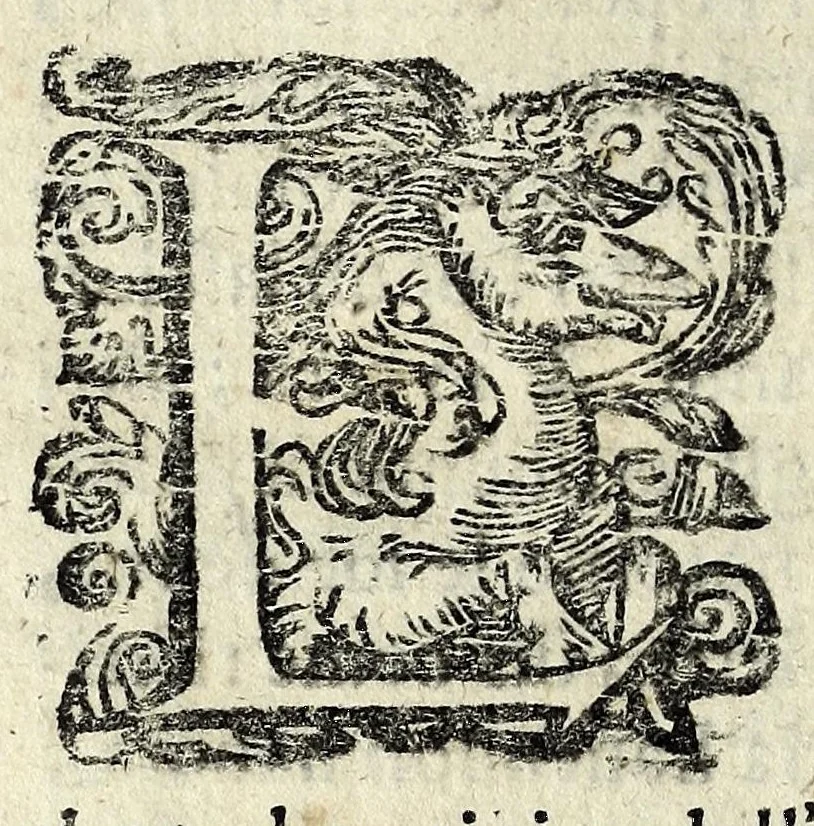 An illustration from Discorsi intorno a diverse cose natvrali, 1628, leaf 54