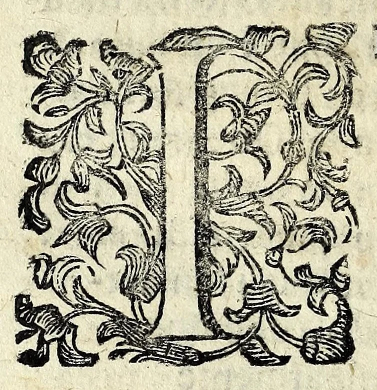 An illustration from Discorsi intorno a diverse cose natvrali, 1628, leaf 66