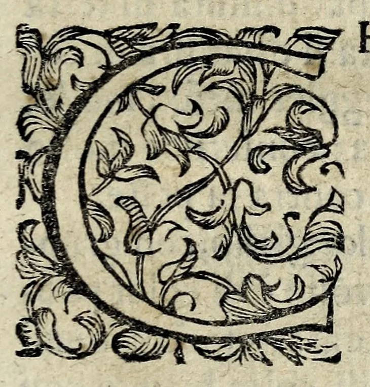 An illustration from Discorsi intorno a diverse cose natvrali, 1628, leaf 69