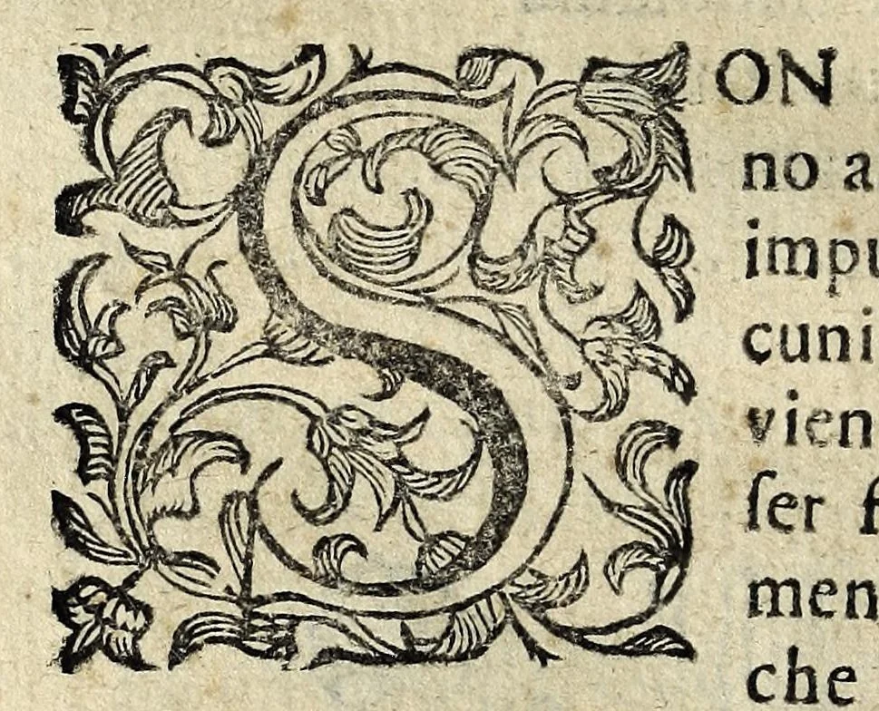 An illustration from Discorsi intorno a diverse cose natvrali, 1628, leaf 72