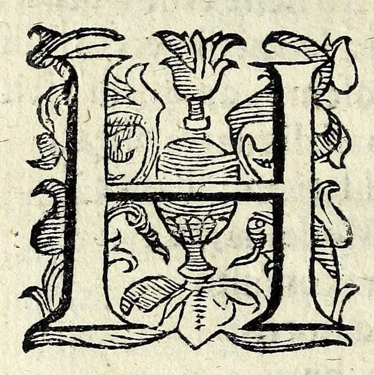 An illustration from Discorsi intorno a diverse cose natvrali, 1628, leaf 80