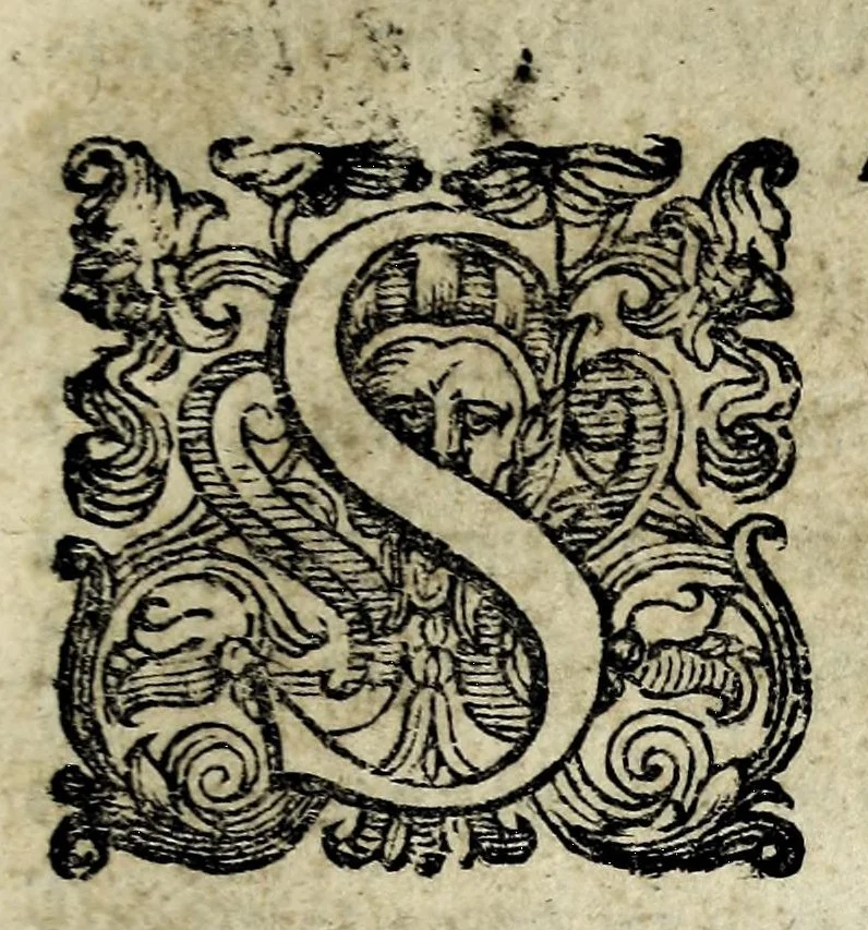 An illustration from Discorsi intorno a diverse cose natvrali, 1628, leaf 9