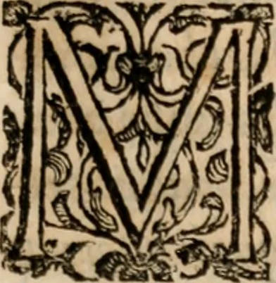 An illustration from Discorsi politici del signor Fabio ALbergati ne i quali viena riprouata la dottrina politica di Gio. Bodino, e difesa quella d'Aristotile .., 1664, leaf 148