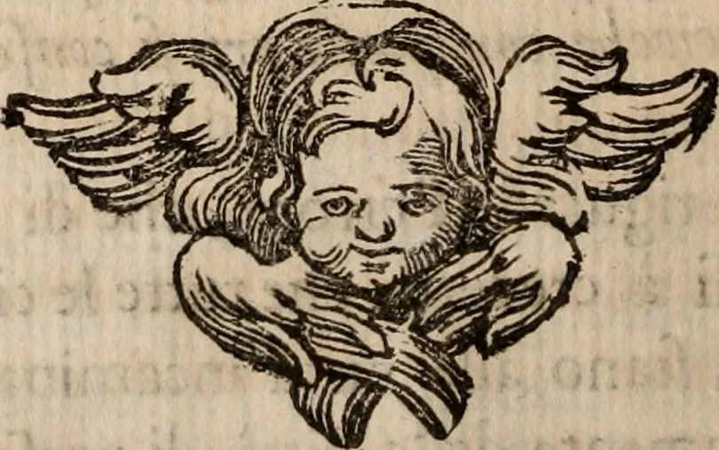 An illustration from Discorsi politici del signor Fabio ALbergati ne i quali viena riprouata la dottrina politica di Gio. Bodino, e difesa quella d'Aristotile .., 1664, leaf 189