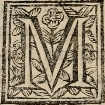 An illustration from Discorsi politici del signor Fabio ALbergati ne i quali viena riprouata la dottrina politica di Gio. Bodino, e difesa quella d'Aristotile .., 1664, leaf 211