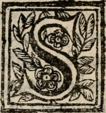 An illustration from Discorsi politici del signor Fabio ALbergati ne i quali viena riprouata la dottrina politica di Gio. Bodino, e difesa quella d'Aristotile .., 1664, leaf 243