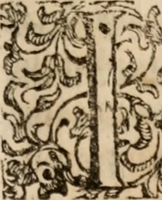 An illustration from Discorsi politici del signor Fabio ALbergati ne i quali viena riprouata la dottrina politica di Gio. Bodino, e difesa quella d'Aristotile .., 1664, leaf 256