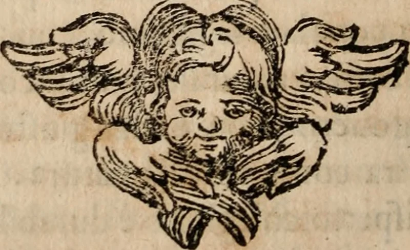 An illustration from Discorsi politici del signor Fabio ALbergati ne i quali viena riprouata la dottrina politica di Gio. Bodino, e difesa quella d'Aristotile .., 1664, leaf 281