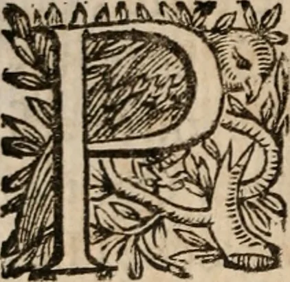 An illustration from Discorsi politici del signor Fabio ALbergati ne i quali viena riprouata la dottrina politica di Gio. Bodino, e difesa quella d'Aristotile .., 1664, leaf 29