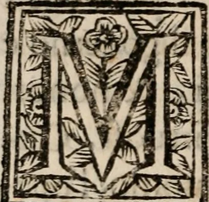 An illustration from Discorsi politici del signor Fabio ALbergati ne i quali viena riprouata la dottrina politica di Gio. Bodino, e difesa quella d'Aristotile .., 1664, leaf 307