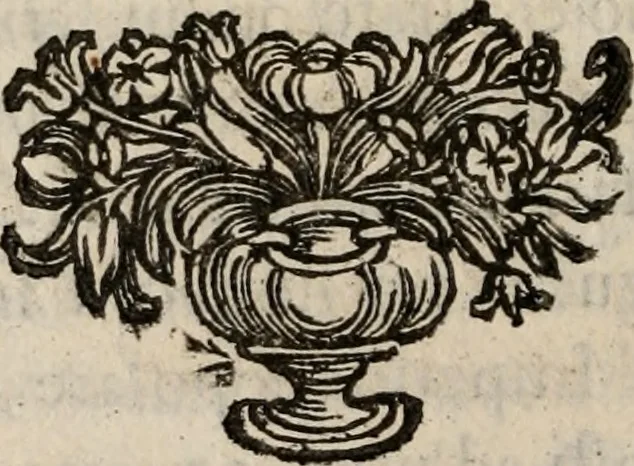 An illustration from Discorsi politici del signor Fabio ALbergati ne i quali viena riprouata la dottrina politica di Gio. Bodino, e difesa quella d'Aristotile .., 1664, leaf 343