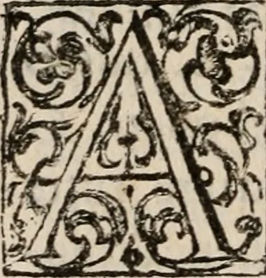 An illustration from Discorsi politici del signor Fabio ALbergati ne i quali viena riprouata la dottrina politica di Gio. Bodino, e difesa quella d'Aristotile .., 1664, leaf 409