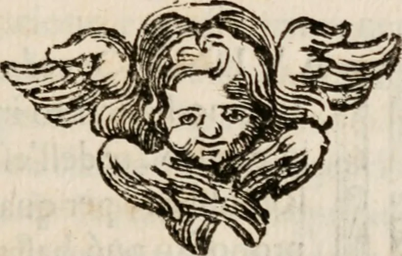 An illustration from Discorsi politici del signor Fabio ALbergati ne i quali viena riprouata la dottrina politica di Gio. Bodino, e difesa quella d'Aristotile .., 1664, leaf 448