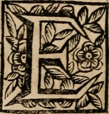 An illustration from Discorsi politici del signor Fabio ALbergati ne i quali viena riprouata la dottrina politica di Gio. Bodino, e difesa quella d'Aristotile .., 1664, leaf 49