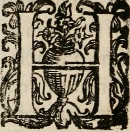 An illustration from Discorsi politici del signor Fabio ALbergati ne i quali viena riprouata la dottrina politica di Gio. Bodino, e difesa quella d'Aristotile .., 1664, leaf 511