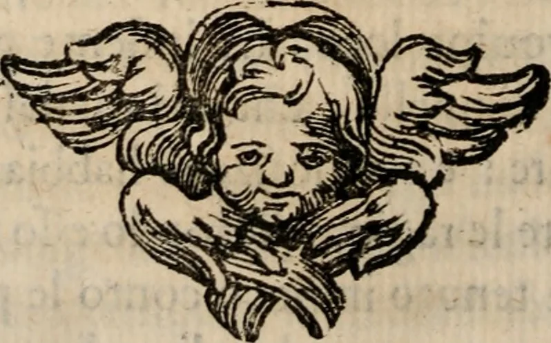 An illustration from Discorsi politici del signor Fabio ALbergati ne i quali viena riprouata la dottrina politica di Gio. Bodino, e difesa quella d'Aristotile .., 1664, leaf 521
