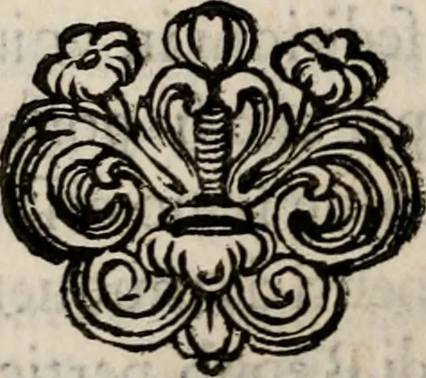An illustration from Discorsi politici del signor Fabio ALbergati ne i quali viena riprouata la dottrina politica di Gio. Bodino, e difesa quella d'Aristotile .., 1664, leaf 541