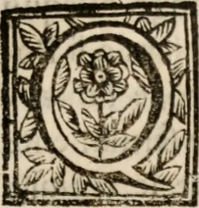 An illustration from Discorsi politici del signor Fabio ALbergati ne i quali viena riprouata la dottrina politica di Gio. Bodino, e difesa quella d'Aristotile .., 1664, leaf 564