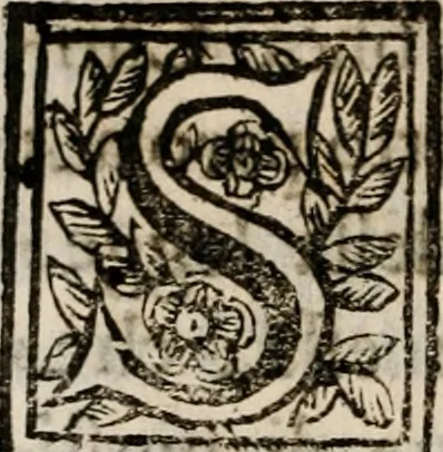 An illustration from Discorsi politici del signor Fabio ALbergati ne i quali viena riprouata la dottrina politica di Gio. Bodino, e difesa quella d'Aristotile .., 1664, leaf 585
