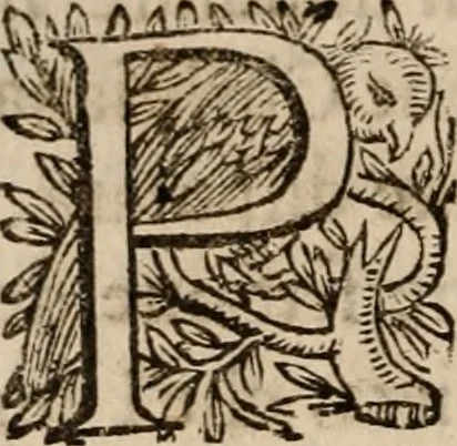 An illustration from Discorsi politici del signor Fabio ALbergati ne i quali viena riprouata la dottrina politica di Gio. Bodino, e difesa quella d'Aristotile .., 1664, leaf 593