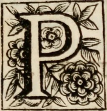 An illustration from Discorsi politici del signor Fabio ALbergati ne i quali viena riprouata la dottrina politica di Gio. Bodino, e difesa quella d'Aristotile .., 1664, leaf 6