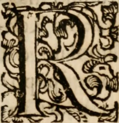 An illustration from Discorsi politici del signor Fabio ALbergati ne i quali viena riprouata la dottrina politica di Gio. Bodino, e difesa quella d'Aristotile .., 1664, leaf 628