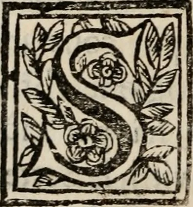 An illustration from Discorsi politici del signor Fabio ALbergati ne i quali viena riprouata la dottrina politica di Gio. Bodino, e difesa quella d'Aristotile .., 1664, leaf 643