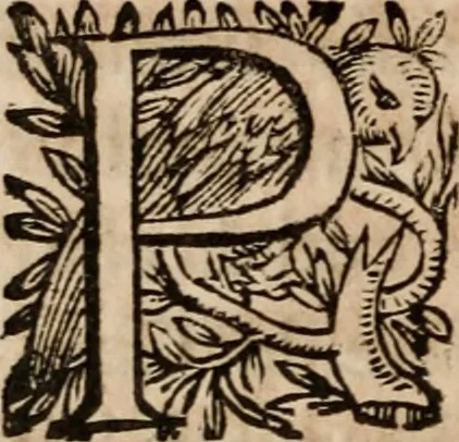 An illustration from Discorsi politici del signor Fabio ALbergati ne i quali viena riprouata la dottrina politica di Gio. Bodino, e difesa quella d'Aristotile .., 1664, leaf 653