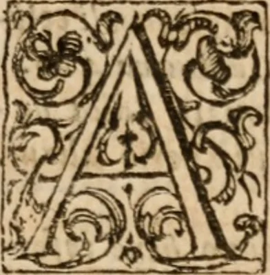 An illustration from Discorsi politici del signor Fabio ALbergati ne i quali viena riprouata la dottrina politica di Gio. Bodino, e difesa quella d'Aristotile .., 1664, leaf 656