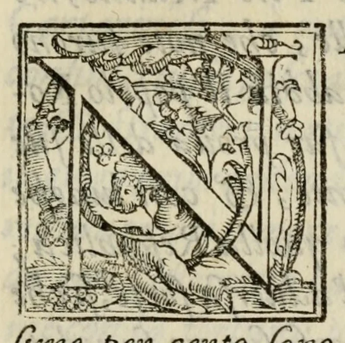 An illustration from Discorsi politici di Paolo Paruta : nei quali si considerano diversi fatti illustri e memorabili di principi e di republiche antiche e moderne : aggiontovi nel fine un suo soliloquio nelquale l'auttore fa un breve essame di tutto il corso della sua vita, 1599, leaf 299