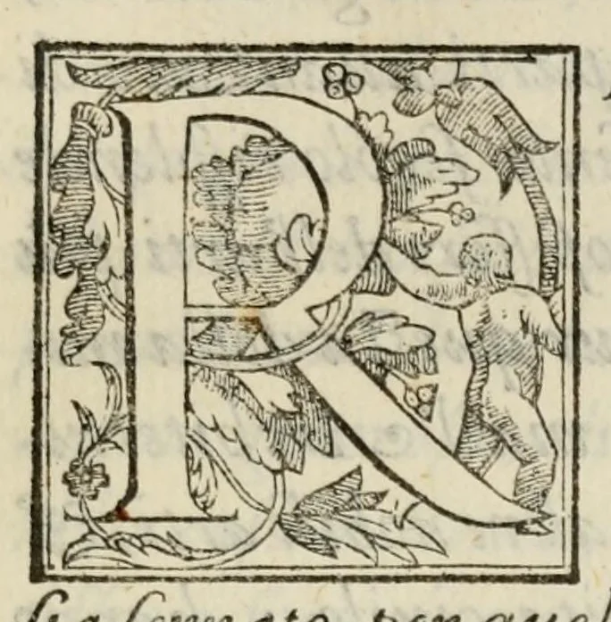 An illustration from Discorsi politici di Paolo Paruta : nei quali si considerano diversi fatti illustri e memorabili di principi e di republiche antiche e moderne : aggiontovi nel fine un suo soliloquio nelquale l'auttore fa un breve essame di tutto il corso della sua vita, 1599, leaf 559