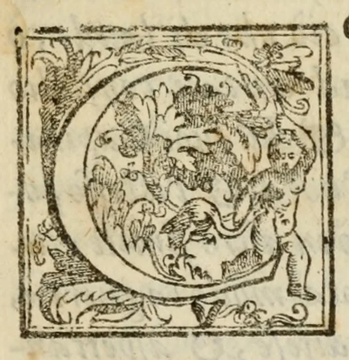 An illustration from Discorsi politici di Paolo Paruta : nei quali si considerano diversi fatti illustri e memorabili di principi e di republiche antiche e moderne : aggiontovi nel fine un suo soliloquio nelquale l'auttore fa un breve essame di tutto il corso della sua vita, 1599, leaf 657