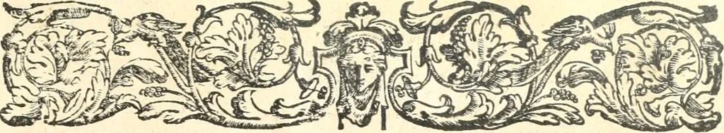 An illustration from Discorsi sopra l'antichità di Roma, 1582, leaf 96