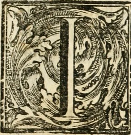 An illustration from Discorso del cavalier Carlo Fontana sopra il Monte Citatorio situato nel Campo Martio, ed altre cose ad esso appartenenti, con disegni tanto degl' antichi, quanto de' moderni edificii della nuova Curia, 1694, leaf 10