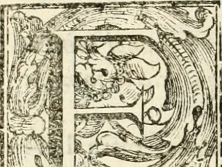 An illustration from Discorso del cavalier Carlo Fontana sopra il Monte Citatorio situato nel Campo Martio, ed altre cose ad esso appartenenti, con disegni tanto degl' antichi, quanto de' moderni edificii della nuova Curia, 1694, leaf 13