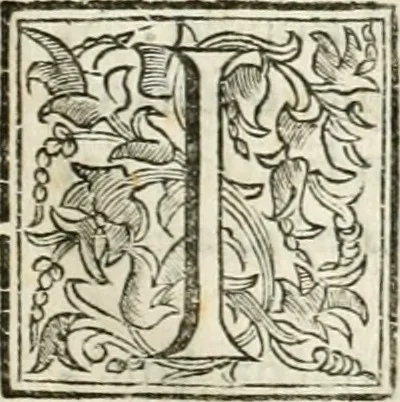 An illustration from Discorso del cavalier Carlo Fontana sopra il Monte Citatorio situato nel Campo Martio, ed altre cose ad esso appartenenti, con disegni tanto degl' antichi, quanto de' moderni edificii della nuova Curia, 1694, leaf 14